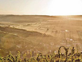 Genießerauszeit im Kamptal inkl. Pralinen & Prosecco | 3 Nächte