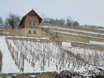 4 Tage - Auszeit vom Alltag in den Weinbergen - Saale Unstrut 