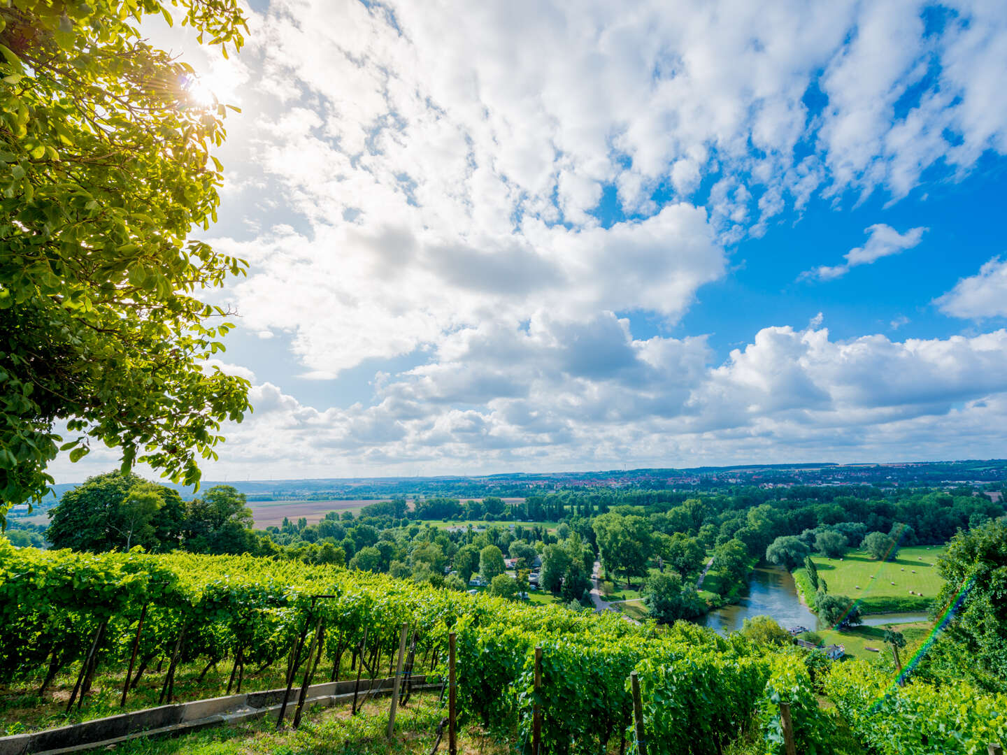 2 Tage - Auszeit vom Alltag in den Weinbergen - Saale Unstrut