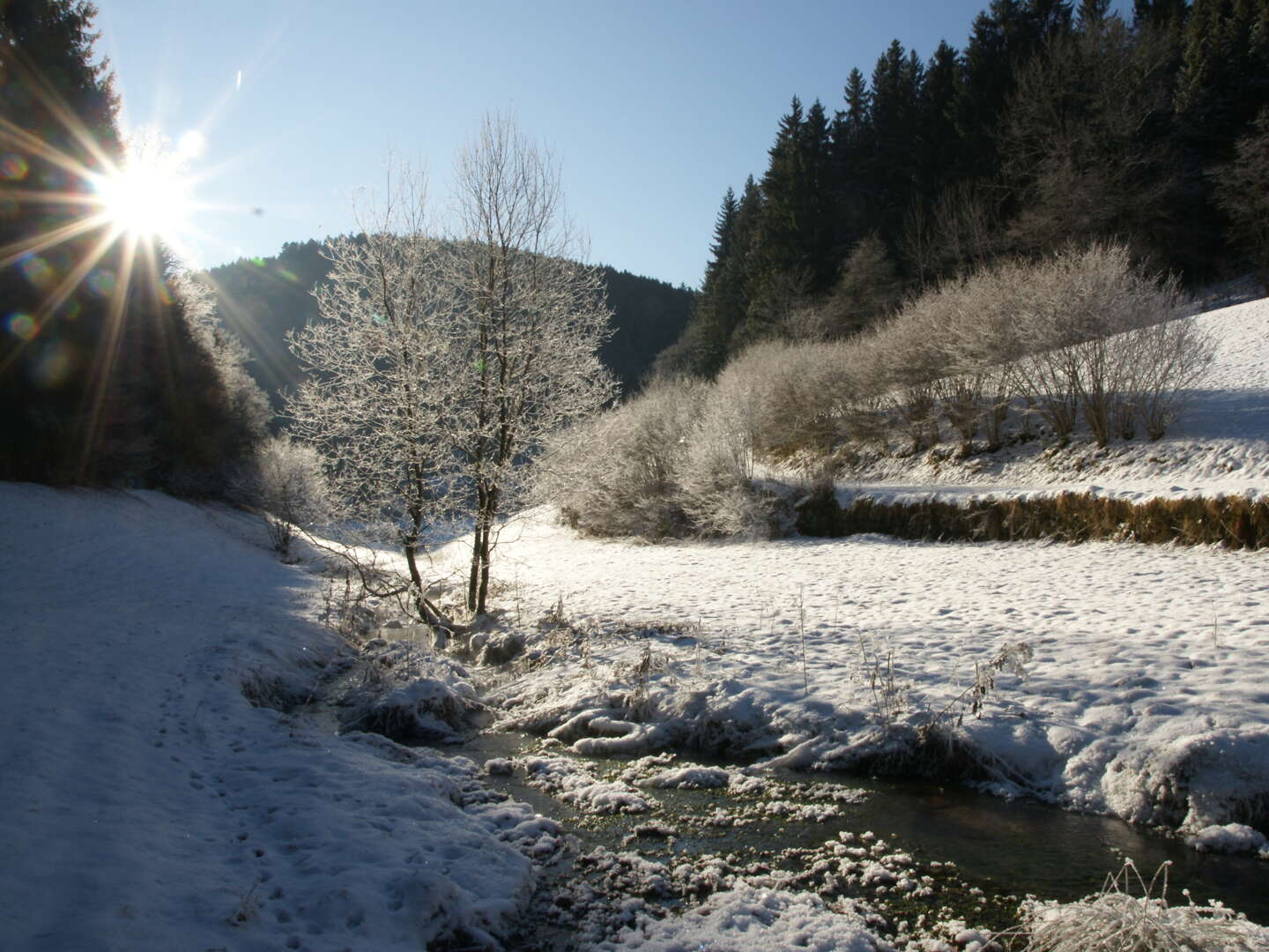 Winter Gute Laune - Kurzurlaub - Winterblues Ade.....- 4 Tage im Schwarzwald