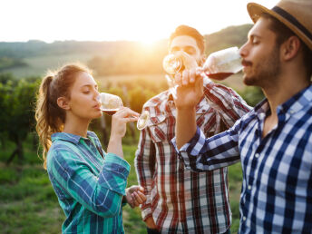 Weinwochenende mit Pferdekutsche / 4 Tage auf dem Weingut