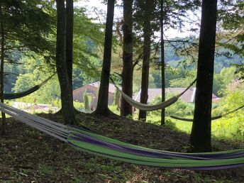 Fasten & Wandern in der herbstlichen Südsteiermark