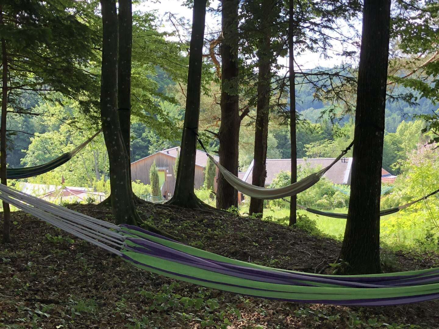 Natur pur: Erholsame Auszeit im steirischen Retreathotel inkl. veganer Halbpension | 4 Nächte