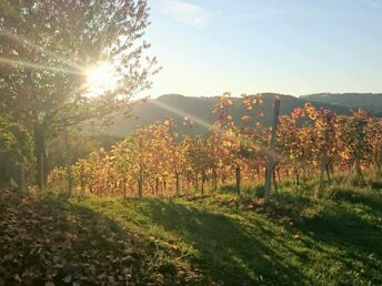 Erholungsurlaub mit Fasten in der herbstlichen Steiermark | 7 Nächte