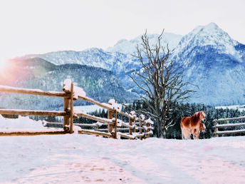 Kurzurlaub mit einzigartigem Panoramablick I 2 Nächte