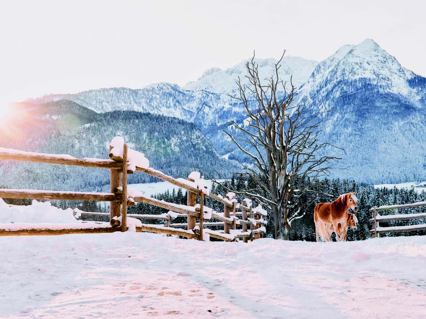 Kurzurlaub mit einzigartigem Panoramablick I 4 Nächte