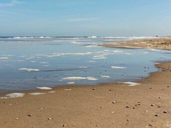 Kurzurlaub am Meer in Noordwijk - 5 Tage  