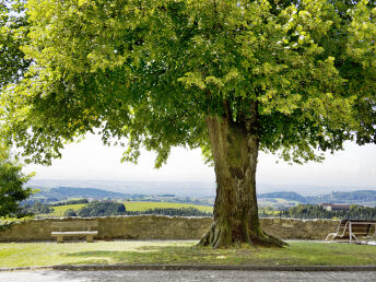 Kurzurlaub zu Hl. Dreikönig auf der Burg Kreuzen