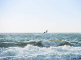 Exklusiver Kurzurlaub auf Sylt