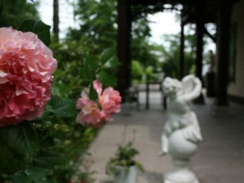 Besinnliche Adventtage in Baden – Entspannung im Apartment inkl. VIP Card | 5 Nächte