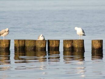 Auszeit für Geist & Seele in Kühlungsborn