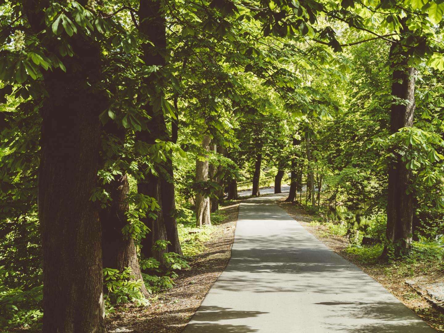 Erholung an der Ostsee