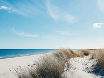 Erholungsurlaub an der Ostsee 