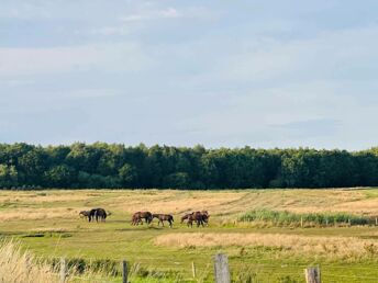 Erholungsurlaub an der Ostsee 