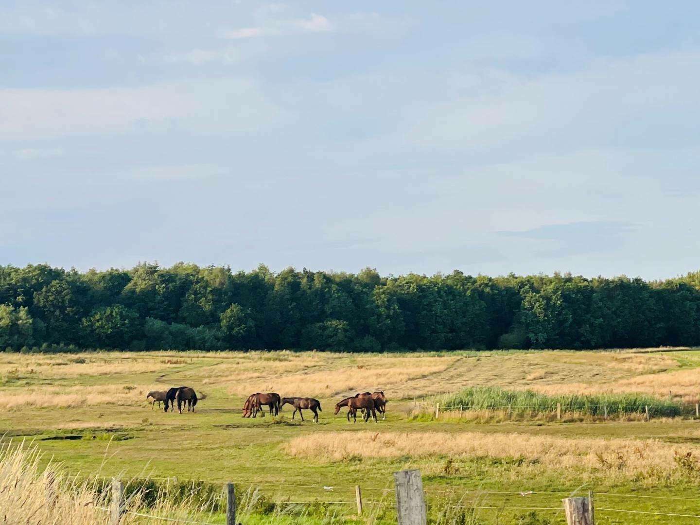 Familienzeit an der Ostsee genießen