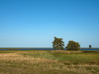 Erholung an der Ostsee