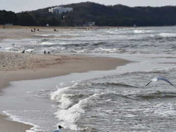 Frühlingserwachen an der Ostsee in Göhren auf Rügen