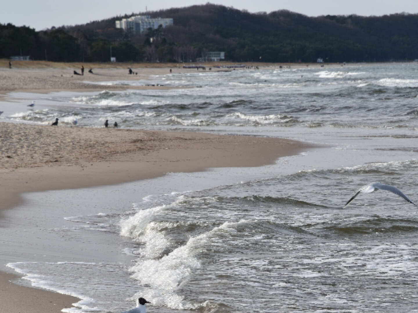 OSTERN 2025 ...Geniessen Sie die Osterfeiertage direkt an der Ostsee im Ostseebad Göhren