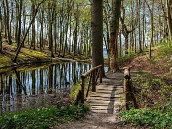 Frühlingsduft erleben im Ostseebad Göhren