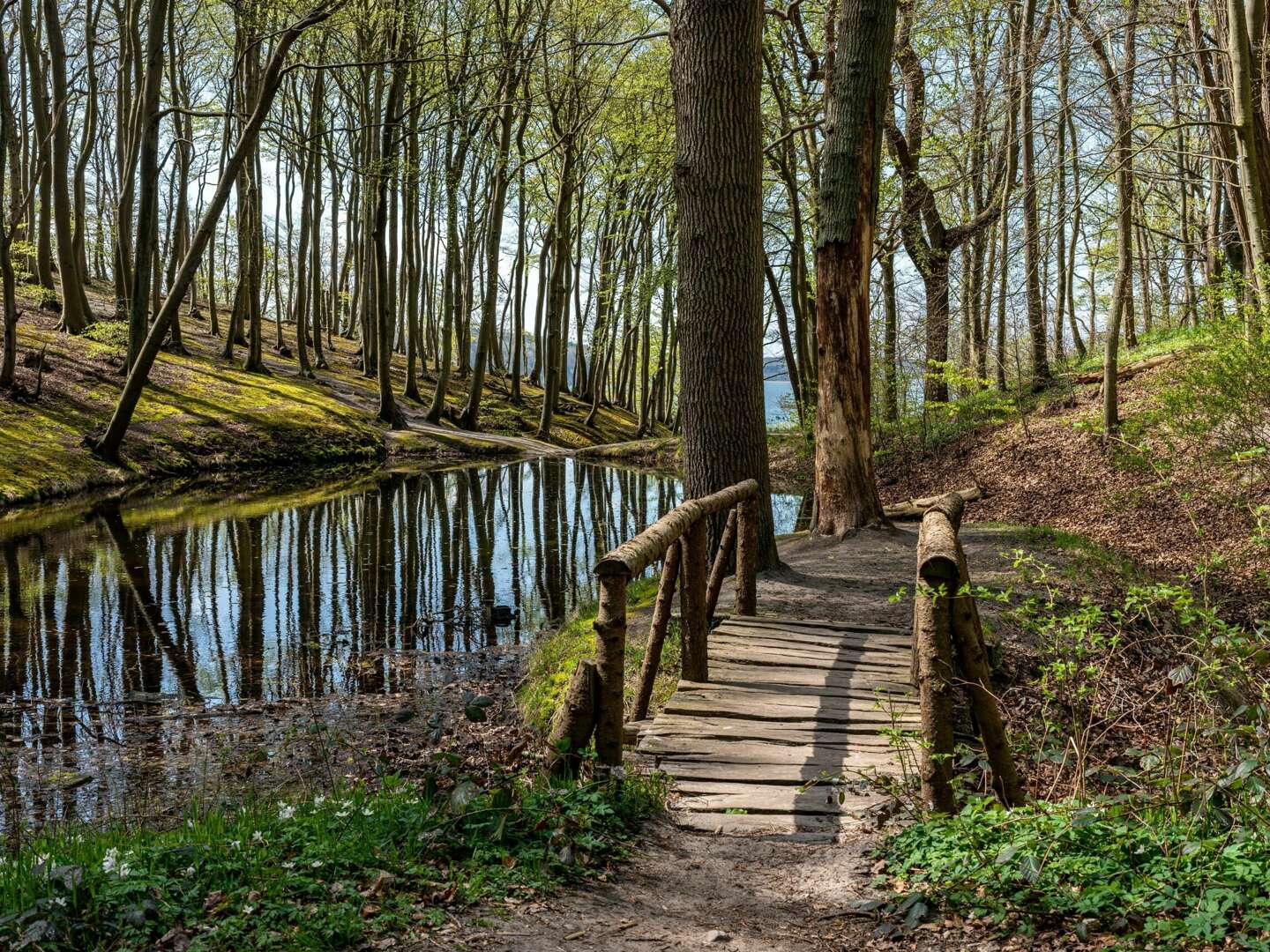 Frühlingserwachen an der Ostsee in Göhren auf Rügen