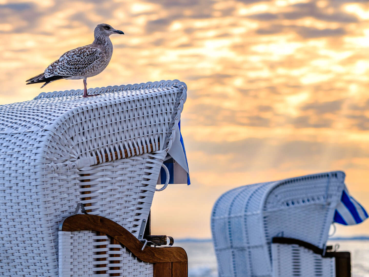 Frühlingserwachen an der Ostsee in Göhren auf Rügen