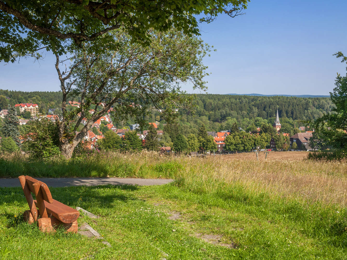 4 Tage Spar-Erlebnis-Paket Harz inkl. 48h Harzcard