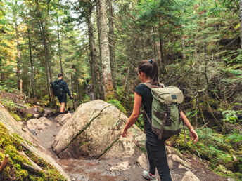 Wanderurlaub mit 2-Tagesticket für die Bergbahn Kitzbühel | 3 Nächte