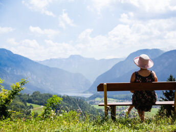 Urlaub mit Hund inkl. Halbpension bei Hallstatt | keinen Aufschlag! | 2 Nächte