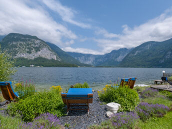 Urlaub mit Hund inkl. Halbpension bei Hallstatt | keinen Aufschlag! | 2 Nächte