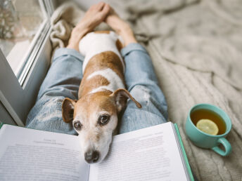 Urlaub mit Hund inkl. Halbpension bei Hallstatt | keinen Aufschlag! | 2 Nächte