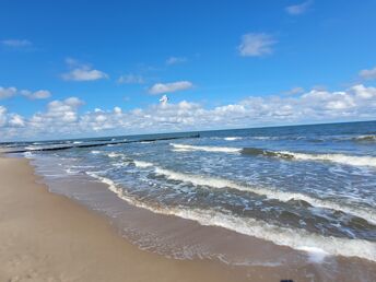 5 Tage Kurzurlaub an der Ostsee | 4 ÜHP   