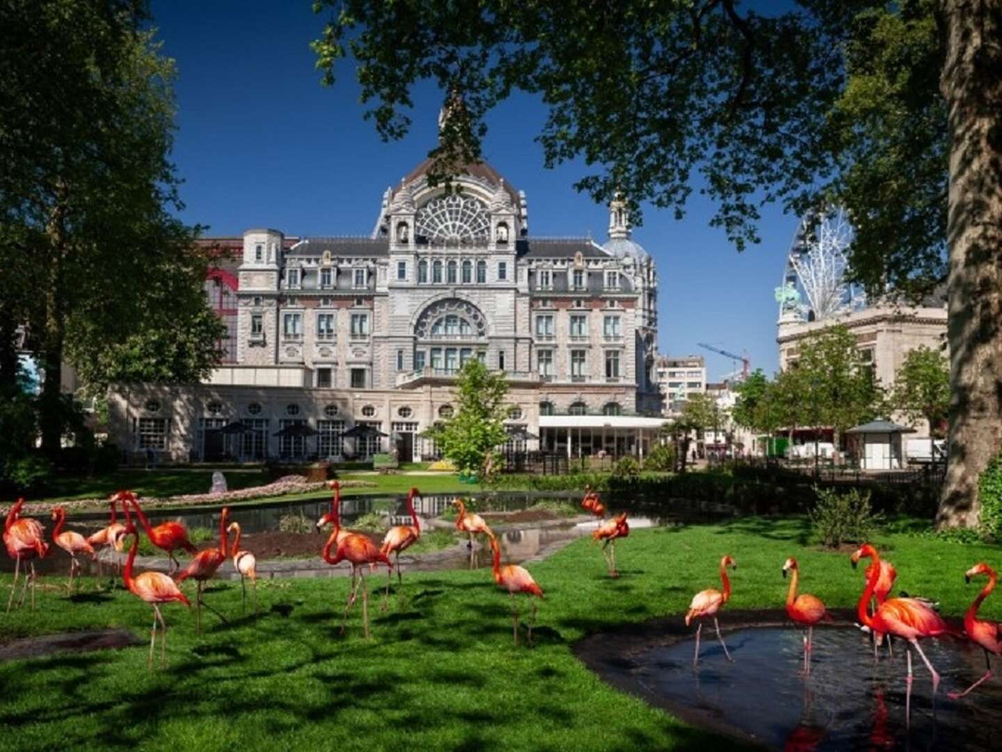 Städtetrip nach Antwerpen 2 Nächte | Terrasse mit Außenpool | Gratis Parken