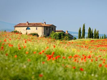 Genießerurlaub in der romantischen Toskana | 6 Nächte