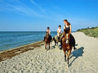 Ihr lang­ersehnter Urlaub auf Poel inkl. Halbpension