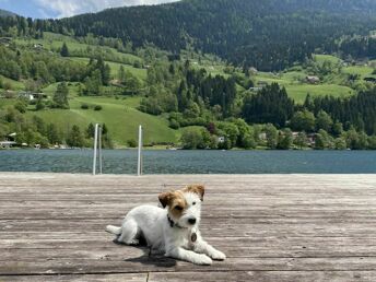 Urlaub mit Hund direkt am See inkl. Willkommensleckerli | 6 Nächte 