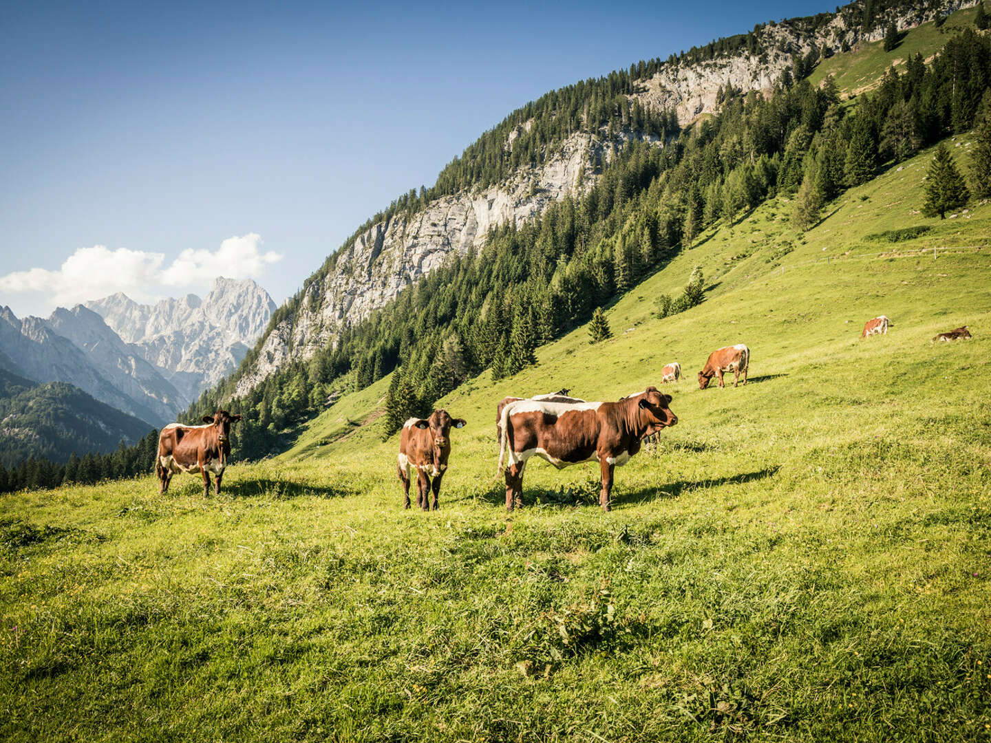 2 Tage Kurzurlaub - Auszeit vom Alltag 