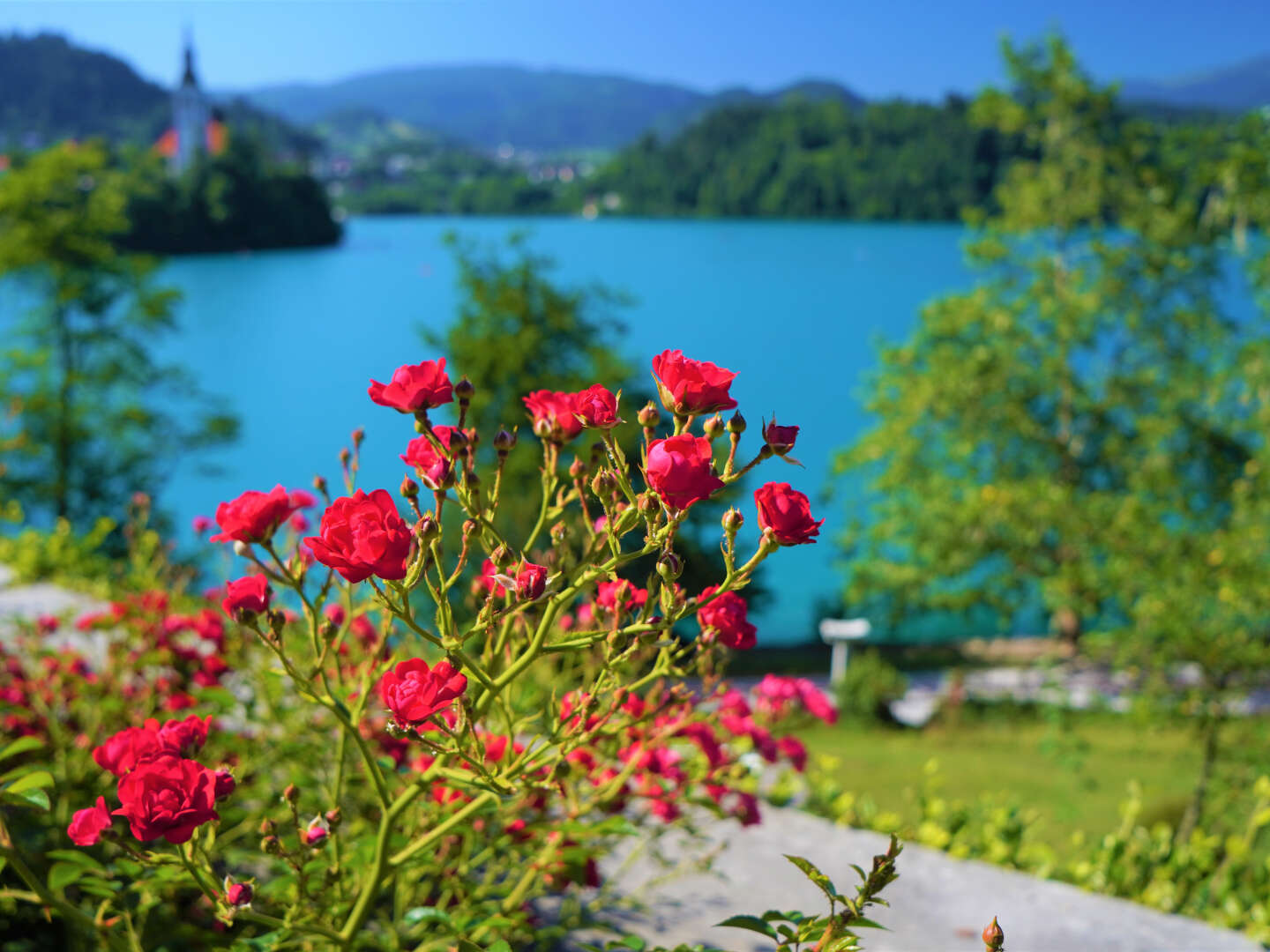 Erholungsurlaub & Wellness am Bleder See in Slowenien | 7 Nächte