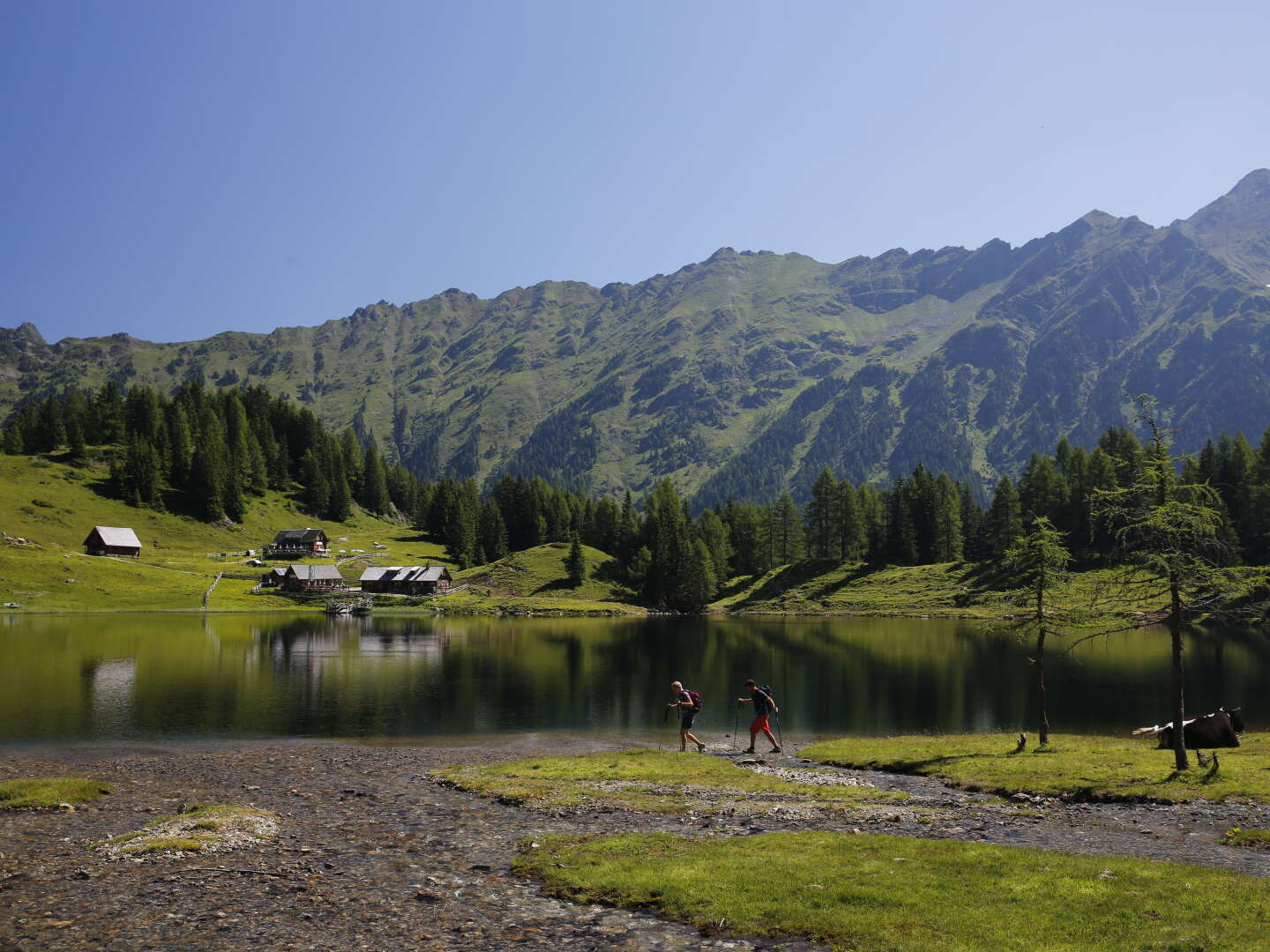 Winterglück im Ennstal inkl. Private Spa & Willkommens Getränk / 4 Tage 