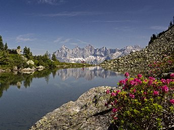 Frühlingshafte Auszeit in der Region Schladming Dachstein/ 5 Tage