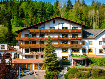 Zeit für 2 im Schwarzwald mit Candle-Light-Diner & Massage