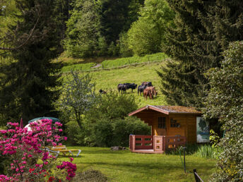 Zeit für 2 im Schwarzwald mit Candle-Light-Diner & Massage