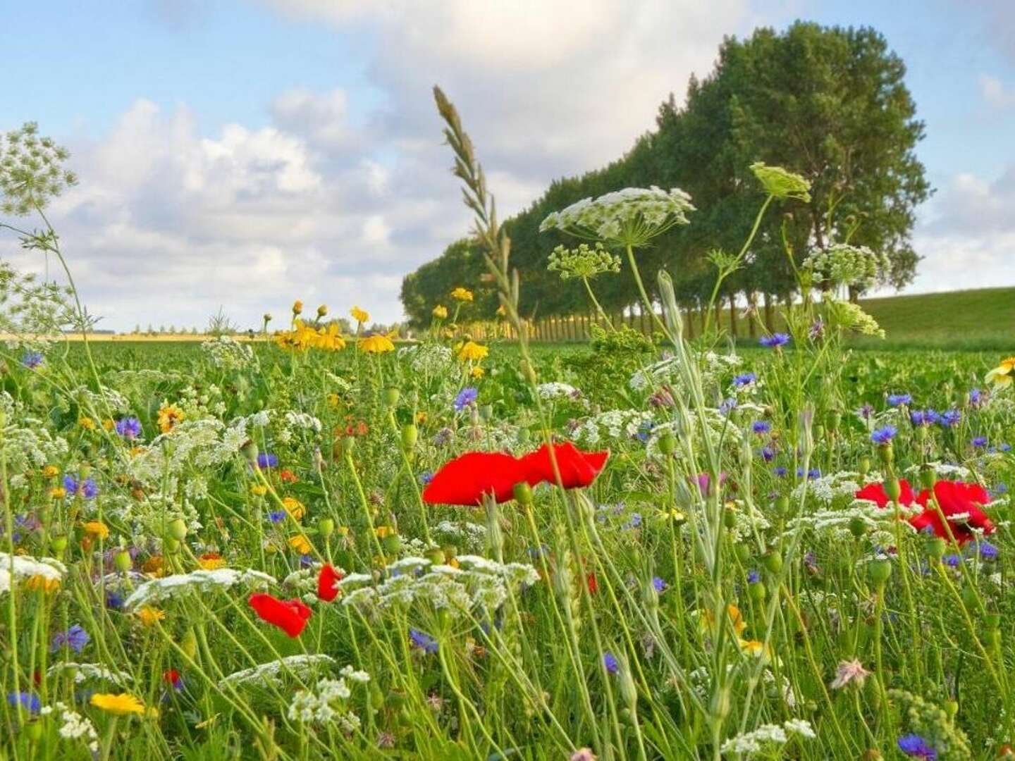 4 Tage Kurzurlaub - Auszeit vom Alltag