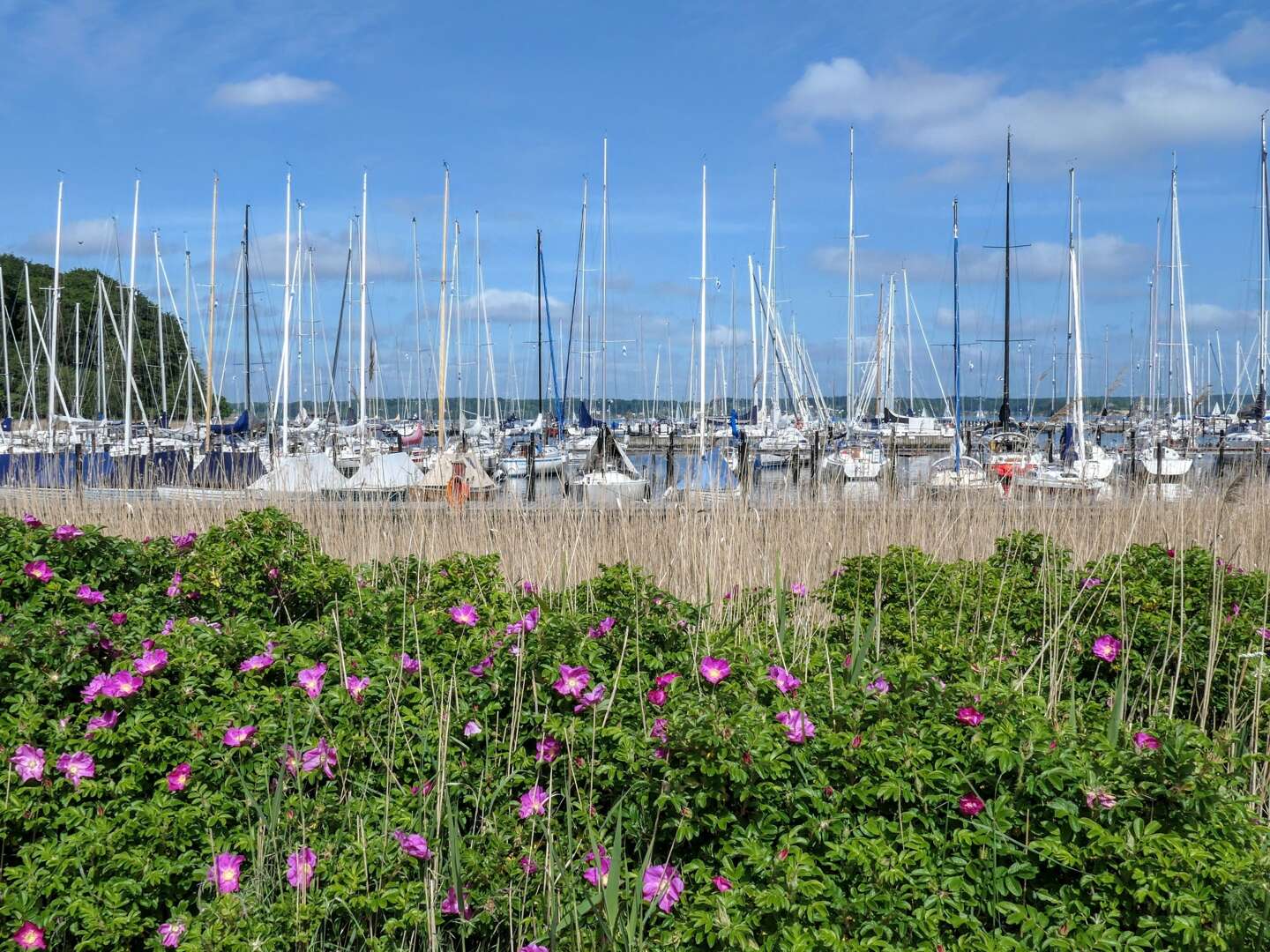 Genießertage direkt an der Ostsee