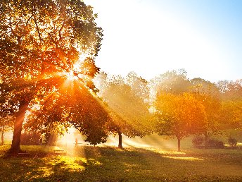 4 Tage | Herbst Auszeit in Winterberg im Sauerland inkl. Sauerland Card