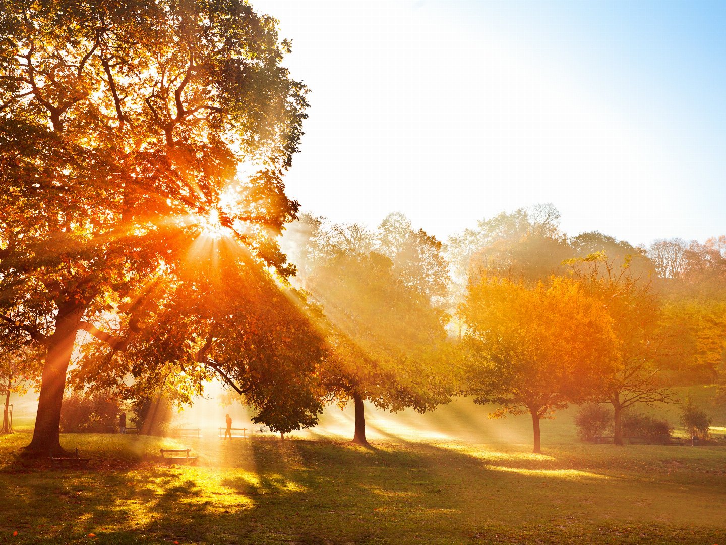 4 Tage | Herbst Auszeit in Winterberg im Sauerland inkl. Sauerland Card