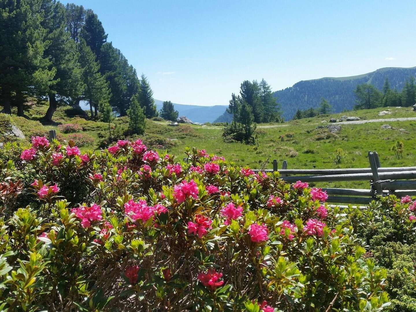 Der Berg ruft - Kärntner Nockberge in Bad Kleinkirchheim inkl. Bergbahnen | 4 Nächte