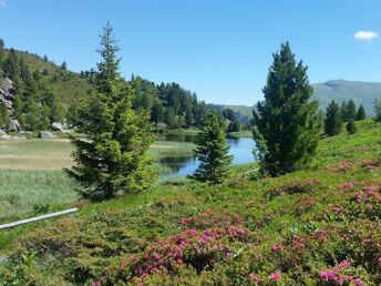 Der Berg ruft - Kärntner Nockberge in Bad Kleinkirchheim inkl. Bergbahnen | 4 Nächte