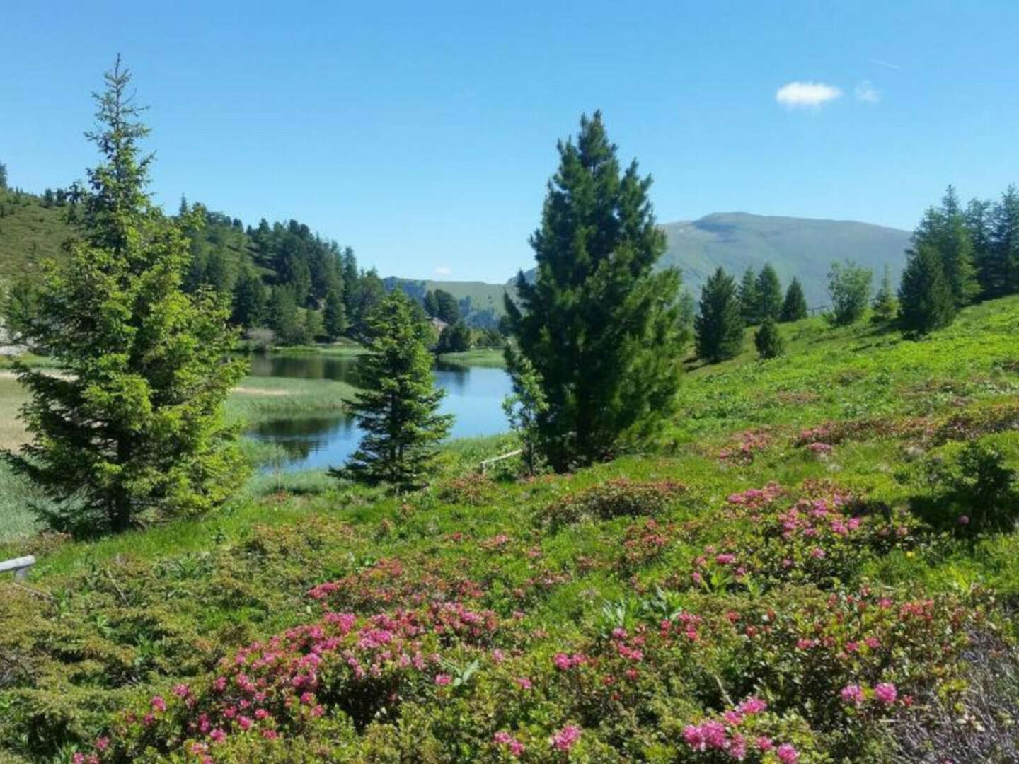 Der Berg ruft - Kärntner Nockberge in Bad Kleinkirchheim inkl. Bergbahnen | 4 Nächte