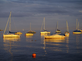 Genießertage - Apfelernte am Bodensee - 6 Tage