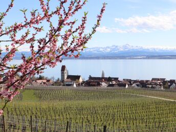 Saisonstart- Frühlingsgefühle am Bodensee - 6 Tage 